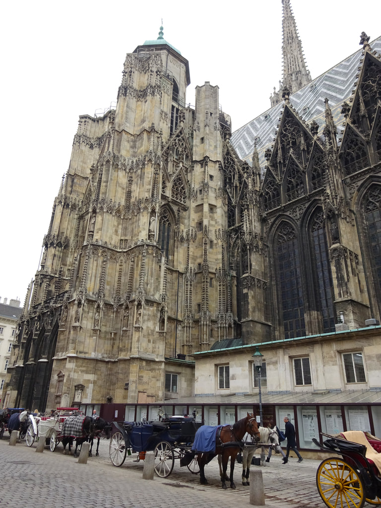 Vienna, the first city where I tasted freedom